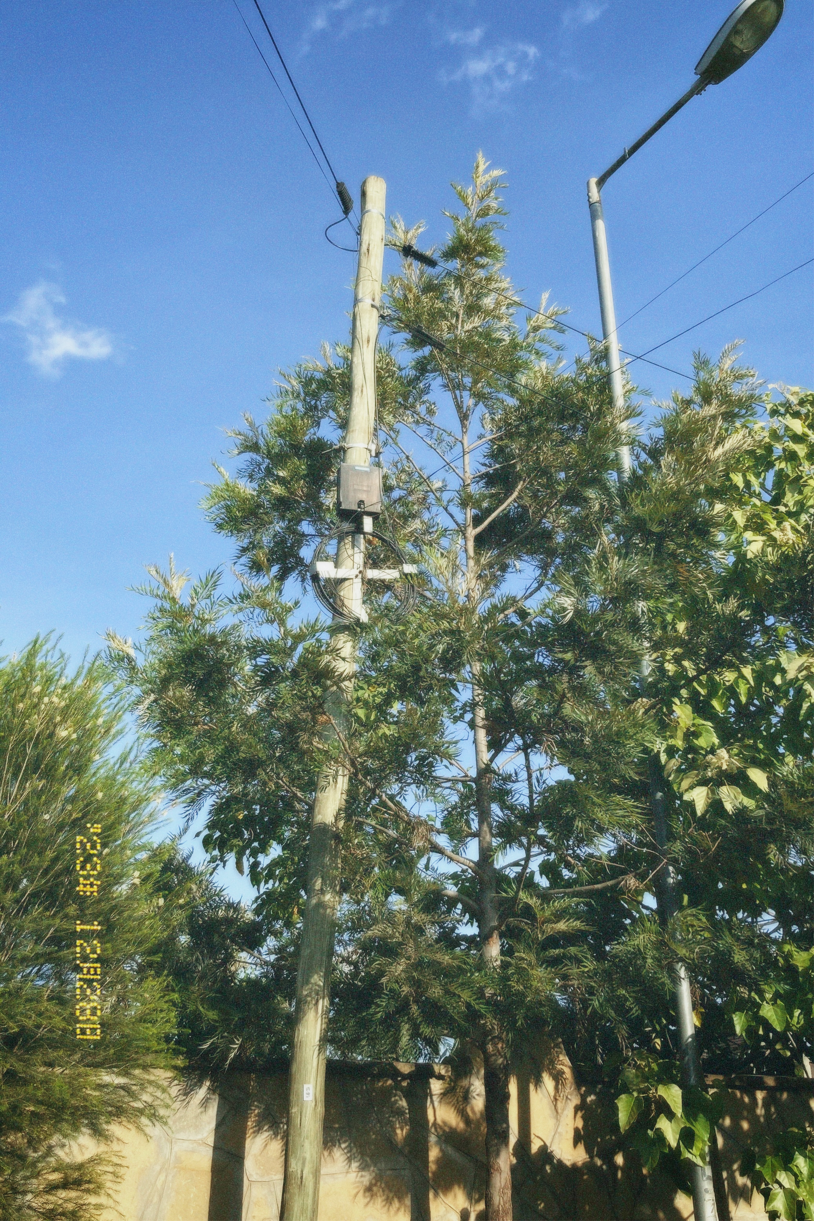 Urban Utility and Nature